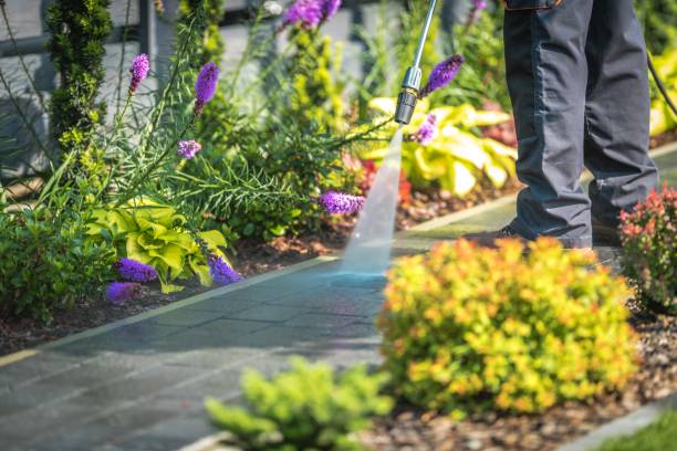 Sandy Springs, GA Pressure Washing Services Company